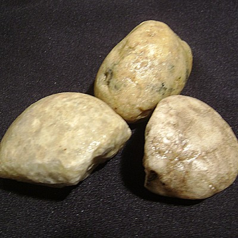 Pedra seixo rolado